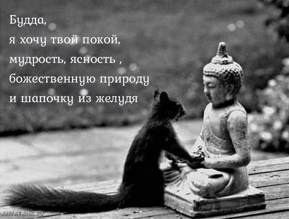 21032711_10154994820818590_6613426291013458776_n