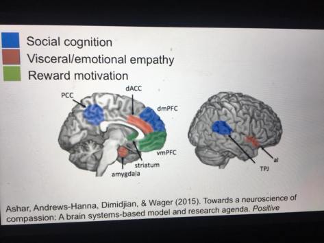 27337343_10155413156693590_8398846737831181105_n